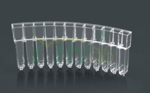 Cuvette Cup(14)